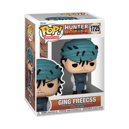 POP ANIMATION HUNTER X HUNTER – GING FREECSS