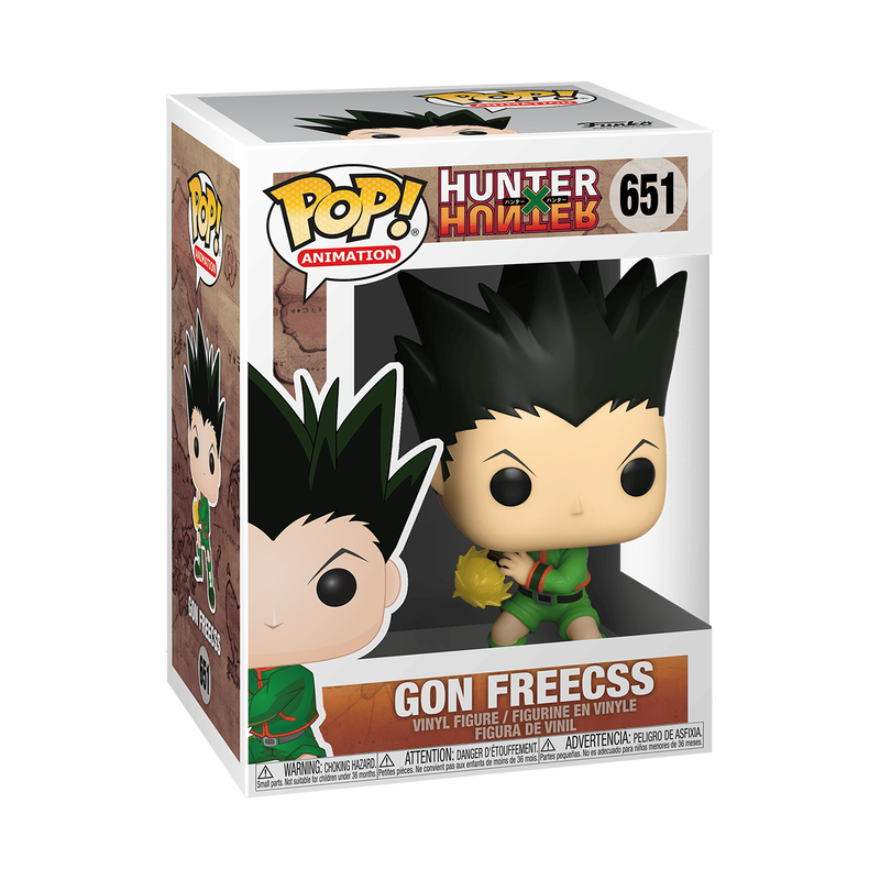 POP ANIMATION HUNTER X HUNTER – GON FREECSS